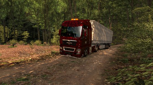 MAN TGX Euro 5