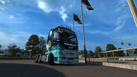MAN TGX Euro 5