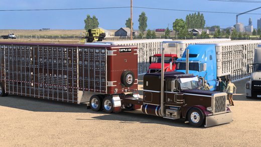 Peterbilt 389 EXHD