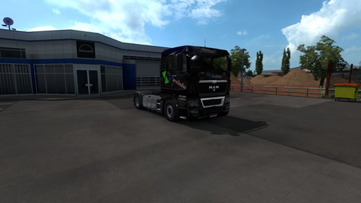 MAN TGX Euro 5