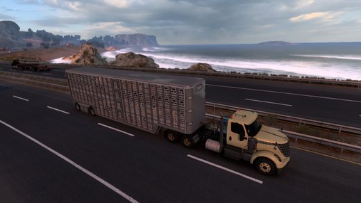 International LoneStar
