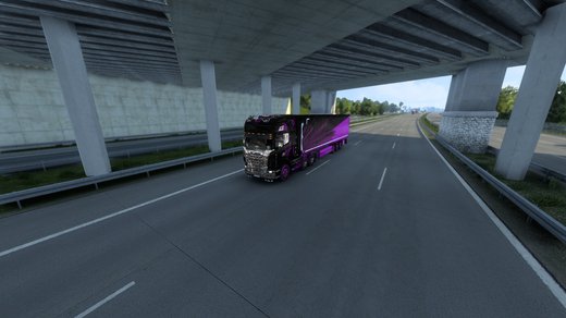 Scania R 2009