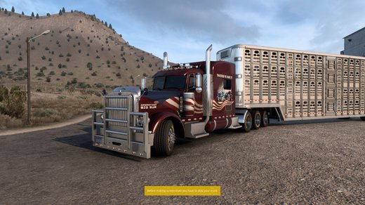 Peterbilt 389