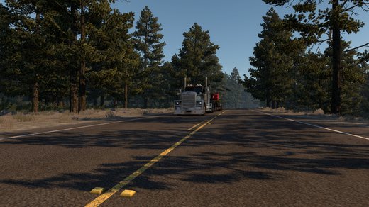 Peterbilt 389