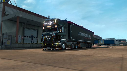 Scania R 2009 (RJL)