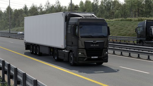 MAN TGX