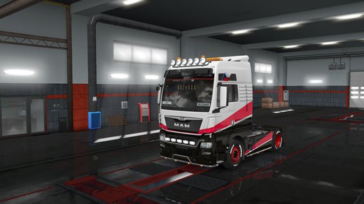 MAN TGX Euro 6