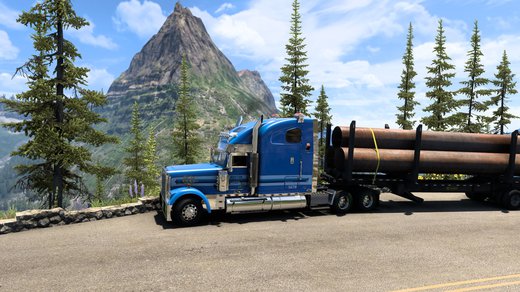 Freightliner FLD132 Classic XL