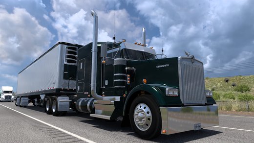 Kenworth W900 Series