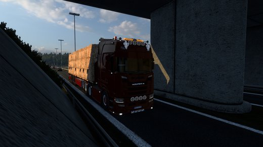 Scania S