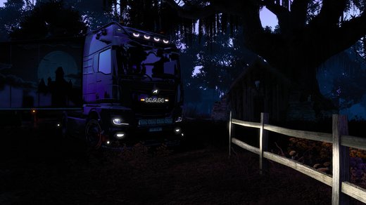 MAN TGX