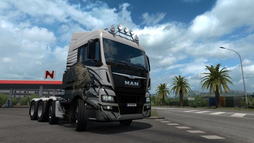 MAN TGX Euro 6