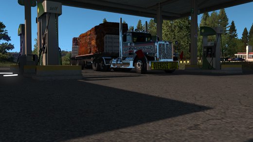 Peterbilt 389