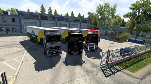 MAN TGX Euro 6