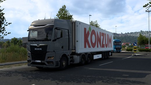 MAN TGX