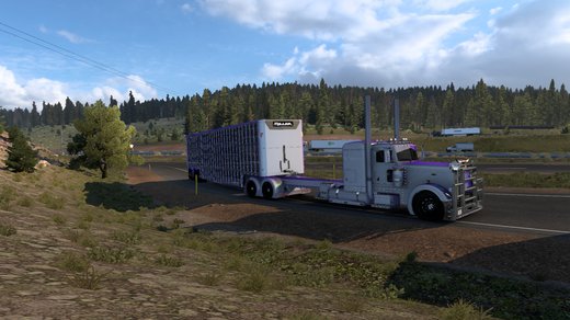 Rezbilt 389