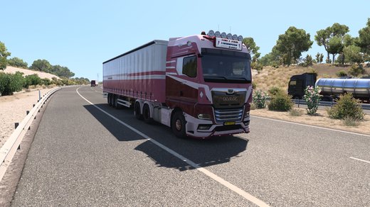MAN TGX
