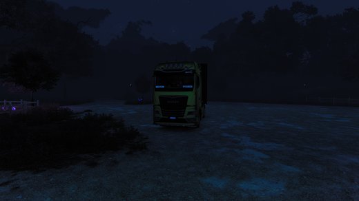 MAN TGX