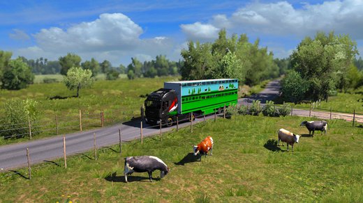 Iveco Stralis