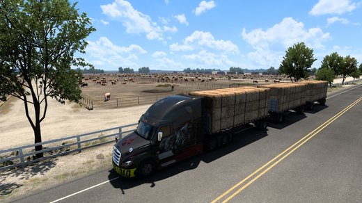 Freightliner Cascadia 2019