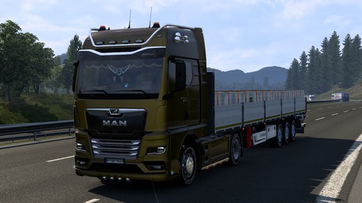 MAN TGX