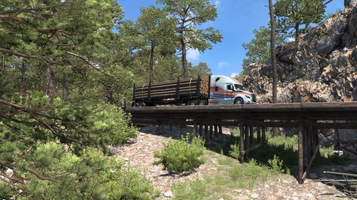 Freightliner Cascadia 2019