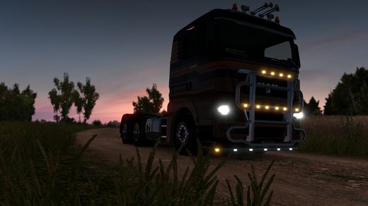 MAN TGX Euro 5