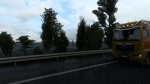MAN TGX
