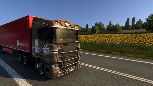 Scania R