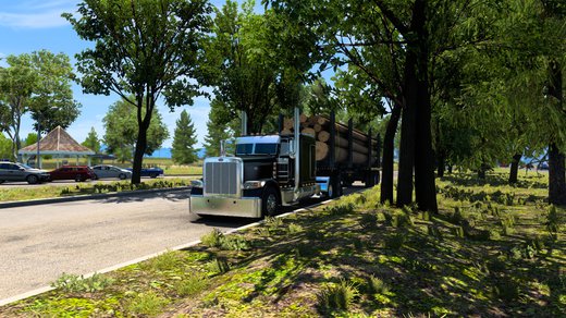 Peterbilt 389