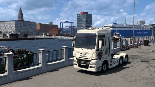 MAN TGX Euro 6