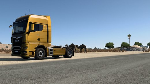 MAN TGX