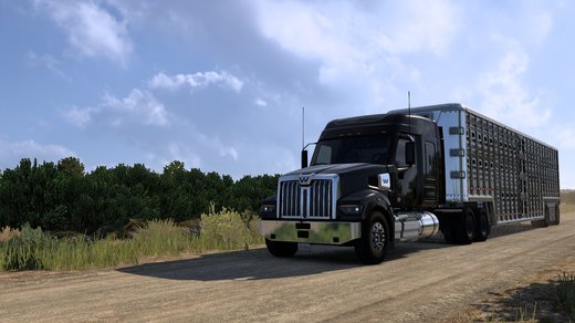 Western Star 49X
