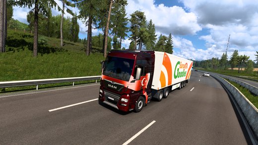 MAN TGX Euro 6