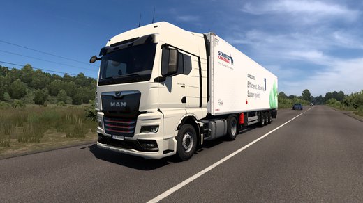 MAN TGX