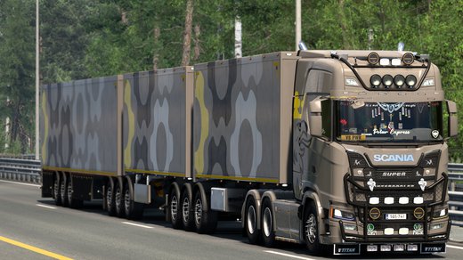 Scania S