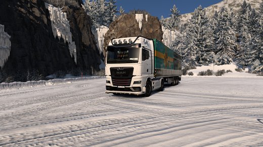 MAN TGX