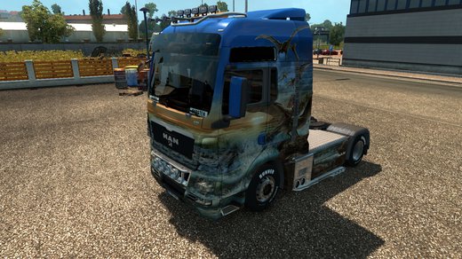 MAN TGX Euro 5