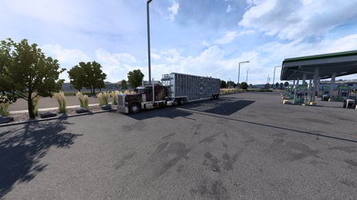 Peterbilt 389