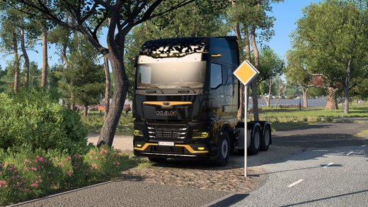 MAN TGX