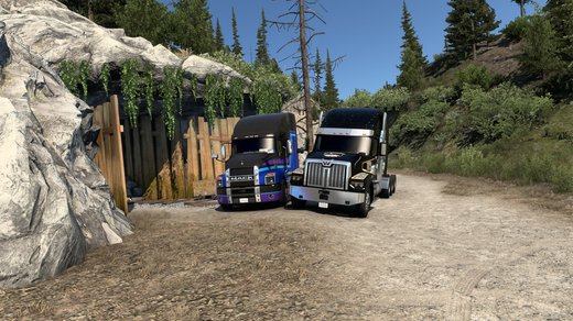 Western Star 49X