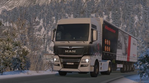 MAN TGX Euro 6
