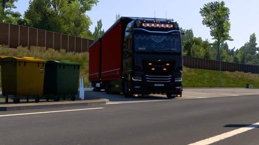 MAN TGX