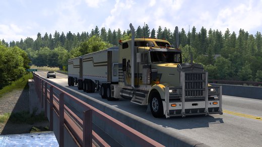 Kenworth W900