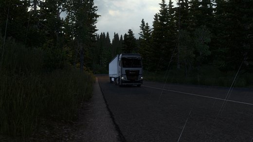MAN TGX