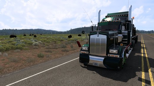 Kenworth W900