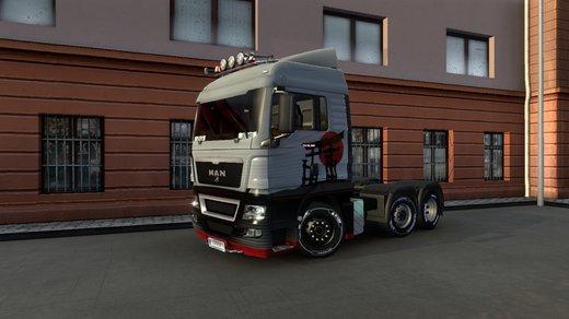 MAN TGX Euro 5
