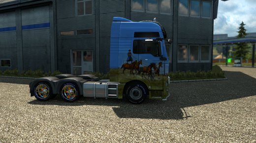MAN TGX Euro 5