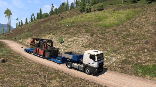 MAN TGX