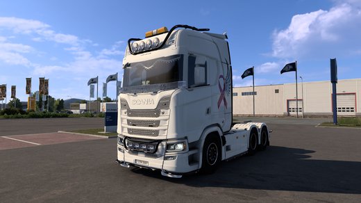 Scania S